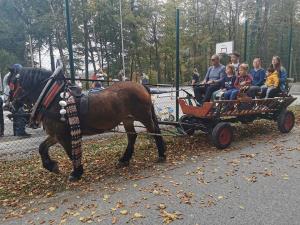 PGD Selo, dan odprtih vrat, 20102019, foto PGD Selo (13)